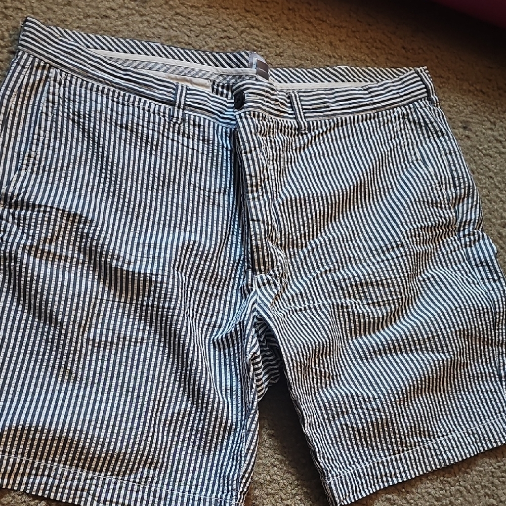 Men's Striped Gray Shorts